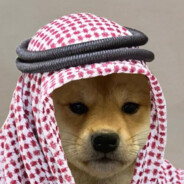 halaldog