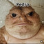 Pedro