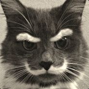 SirLazyCat - steam id 76561197965473047