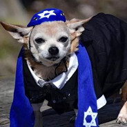 Jew Dog