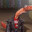 shrimp