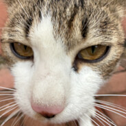 我的眼神不太好