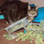 ✪ Marijuana Cat  ₆₆₆