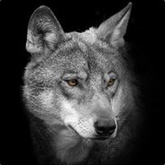 刘衡泽太牛逼了。