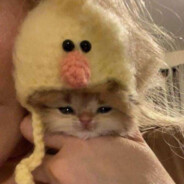 этот как ево там (