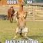 LordDaxter