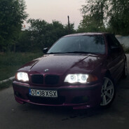 NarZ