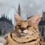 constipated rodent (meow)