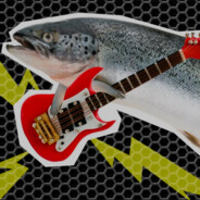 Jammin' Salmon