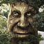 freaky ahh tree