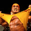 Hulkamania