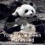 Harasment Panda