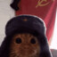 Soviet Cat