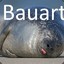 Bauart