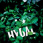 Hydal