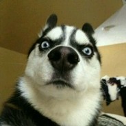 永不磨灭的妖孽