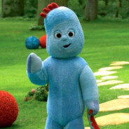 花园宝宝骑野猫