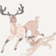 Saky_77