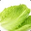 Lettuce