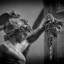 Metheus