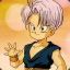 Trunks