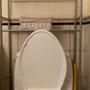 傅梓锋摧毁屎忽窿