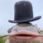 Fish with hat