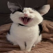real me is here(help pls)