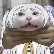 oineko