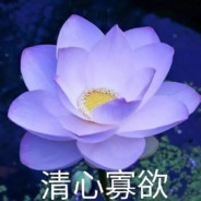 坚持党领导.跟随党步伐 Steam avatar
