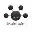 Molecule