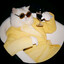PimpMaster