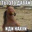 Lior