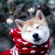 翻斗花园突破手牛爷爷