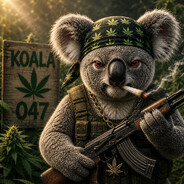 Koala047
