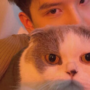 建议绑定APP令牌