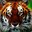 TIIGER