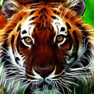 TIIGER