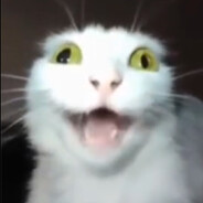 yapakz avatar
