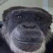200 iq MONKE