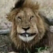 смерть в нищите