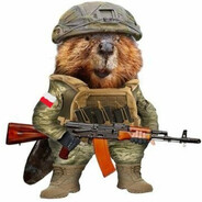 bober negev master
