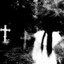 cvcebet