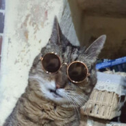 Gero - steam id 76561197964662511