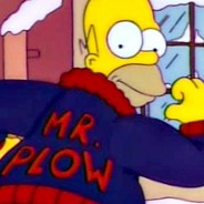 Mr. Plow