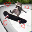 Pro Skater Raccoon&#039;s Fanboy