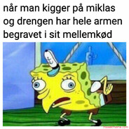 Mikkel
