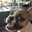 R.DIFF TEMP