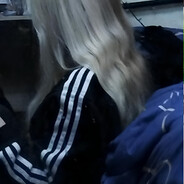msv