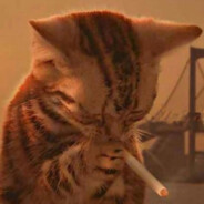 cat with cig